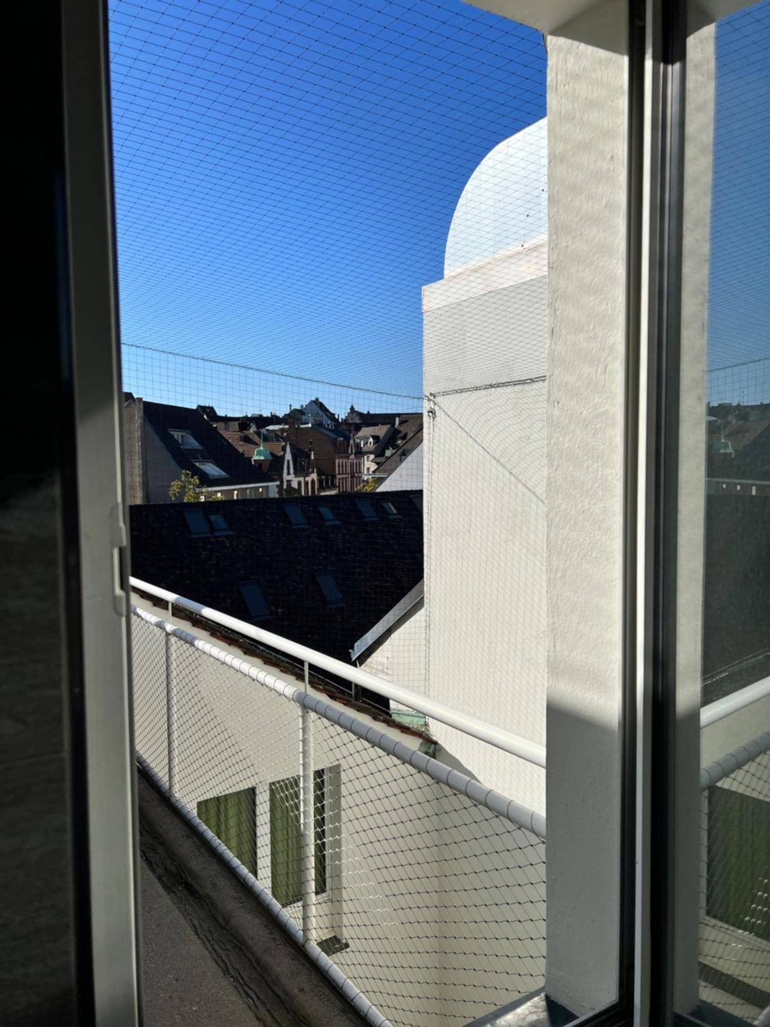 City Center Rooftop Balcony-Studio At Town Hall Basel Dış mekan fotoğraf