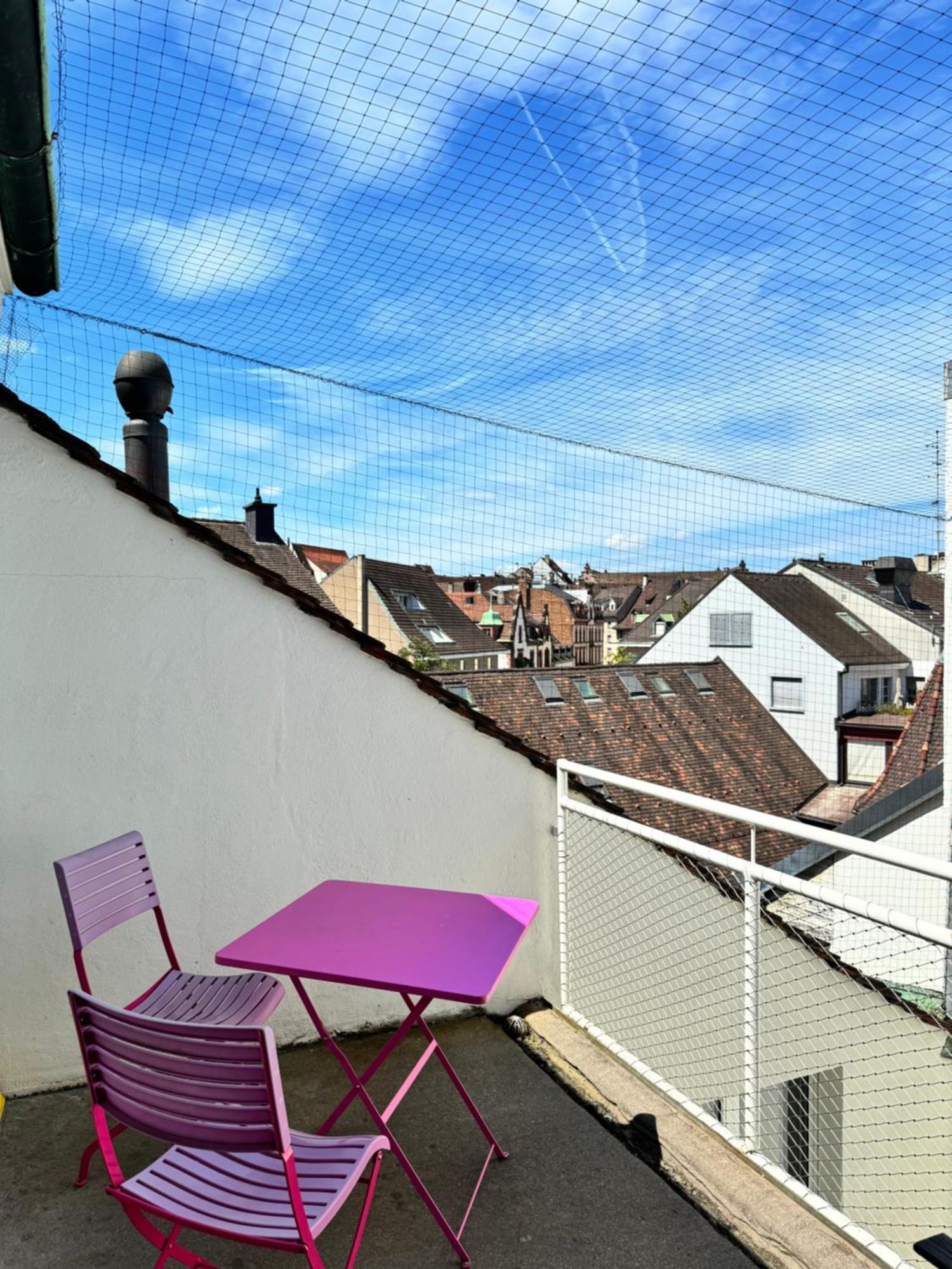 City Center Rooftop Balcony-Studio At Town Hall Basel Dış mekan fotoğraf