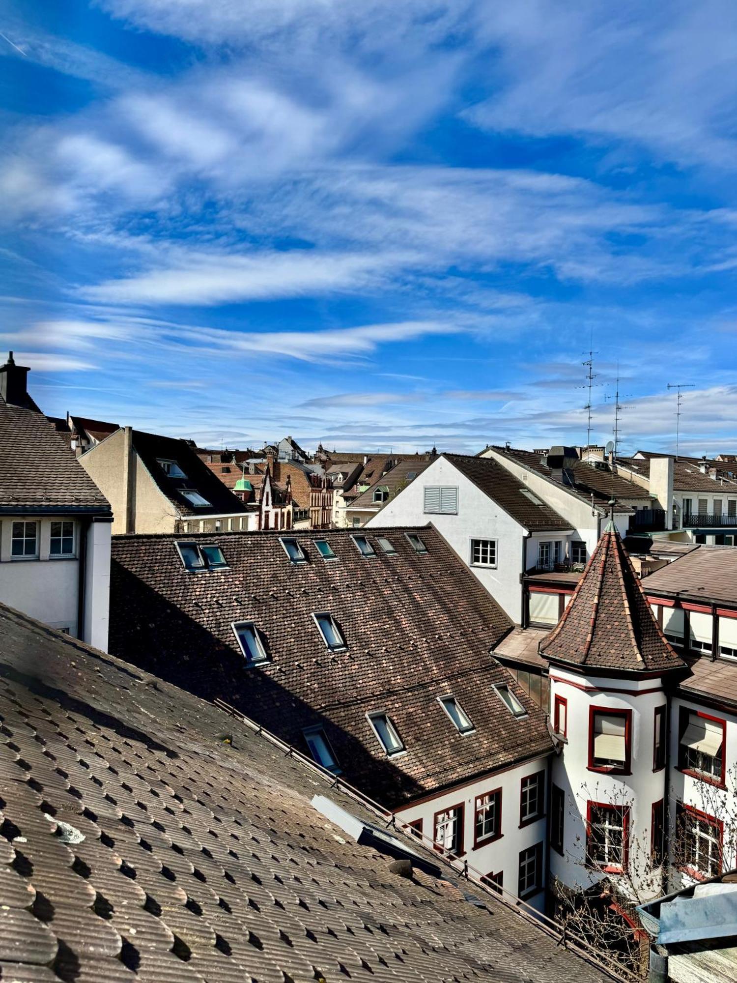 City Center Rooftop Balcony-Studio At Town Hall Basel Dış mekan fotoğraf