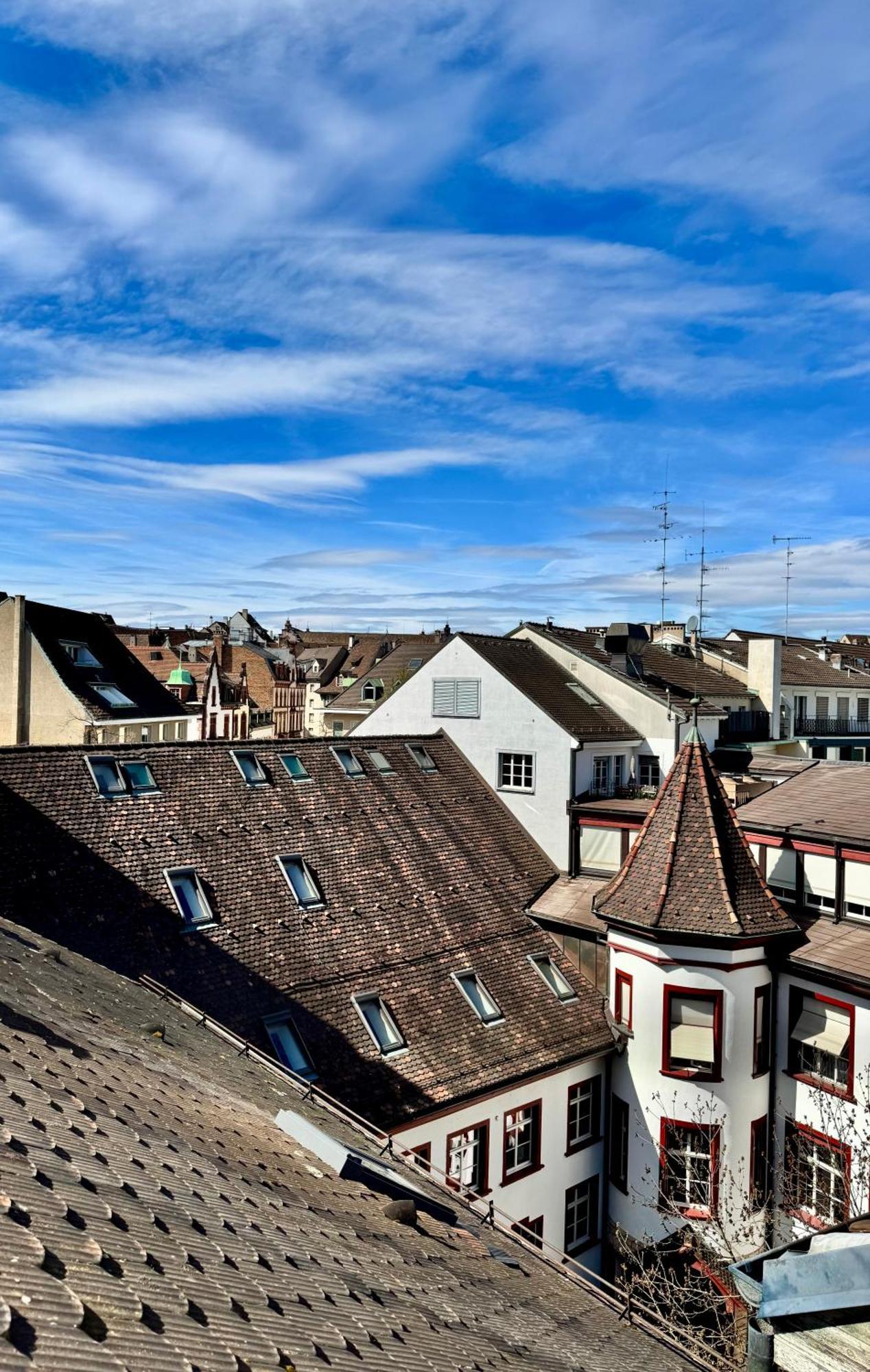 City Center Rooftop Balcony-Studio At Town Hall Basel Dış mekan fotoğraf